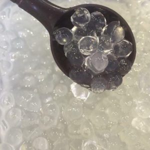 Trân châu trắng 3Q Sea Jelly