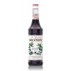 Siro Monin Việt Quất 700 ml