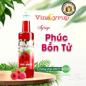 Siro Phúc Bồn Tử VinaSyrup 750ml